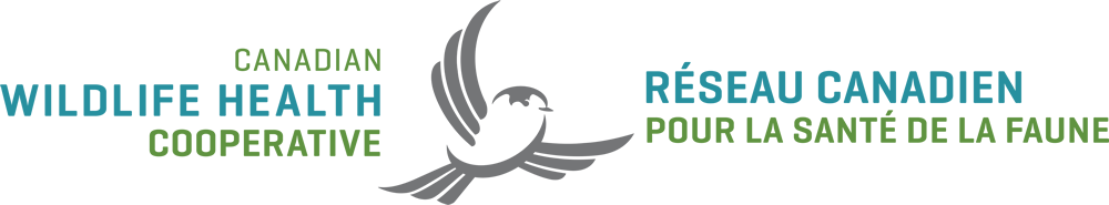 Canadian Wildlife Health Cooperative